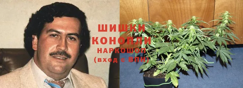 Шишки марихуана Bruce Banner  Дрезна 